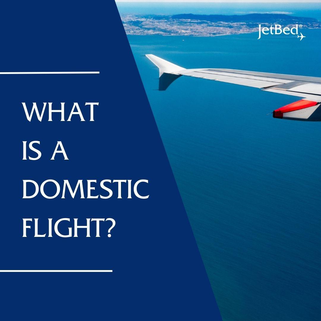 what is a domestic flight?