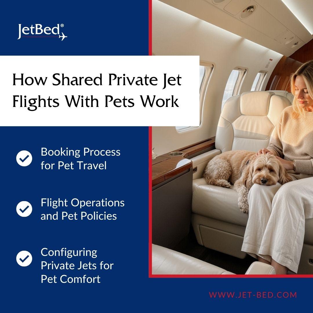 how shared private jet flights with pets work